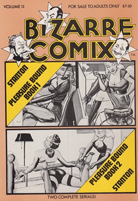 Bizarre Comix 13 - stanton 13